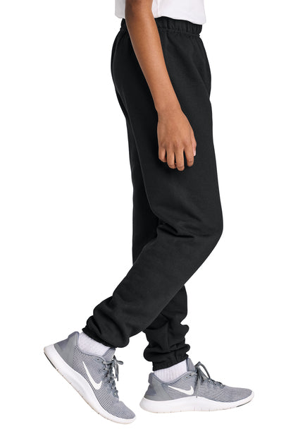 WELLSVILLE TIGERS Jerzees® Youth/Adult NuBlend® 973M Sweatpant 6