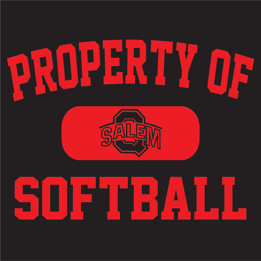 SALEM SOFTBALL DM130 District ® Perfect Tri Tee 5