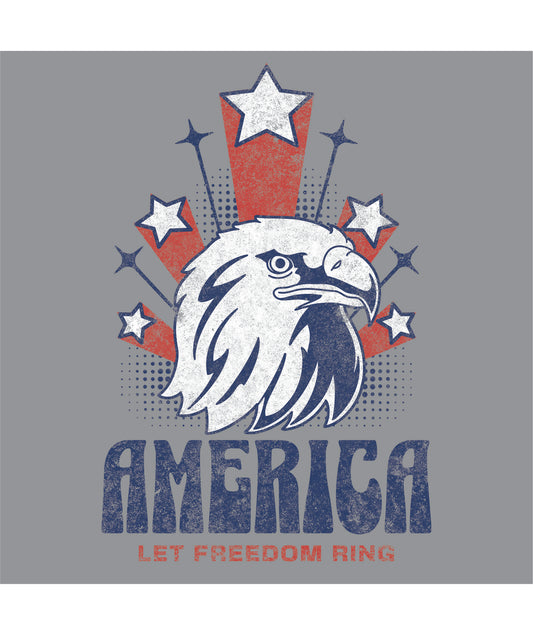 LET FREEDOM RING DM130 District ® Perfect Tri ® Tee 22