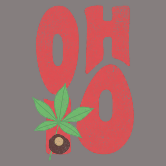 O H I O PC43 Port & Co™ Easy Cotton Tee OH-14