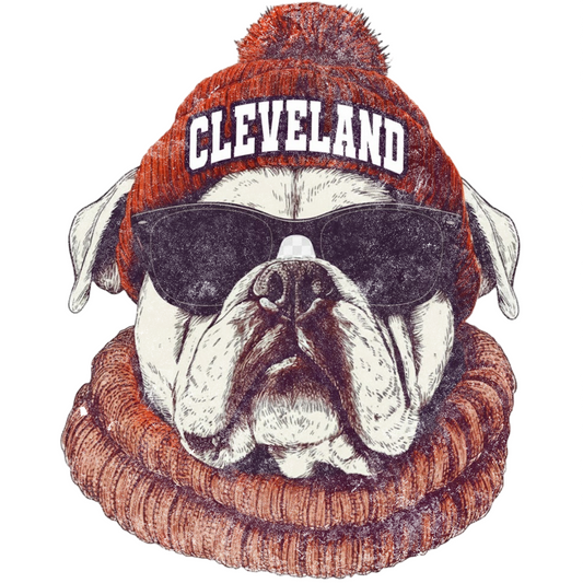 BULLDOG PC43LS Port & Co™ Easy Cotton Long Sleeve Tee OHIO-20