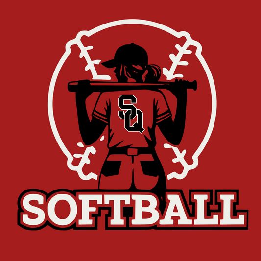 SALEM SOFTBALL DM130 District ® Perfect Tri Tee 16