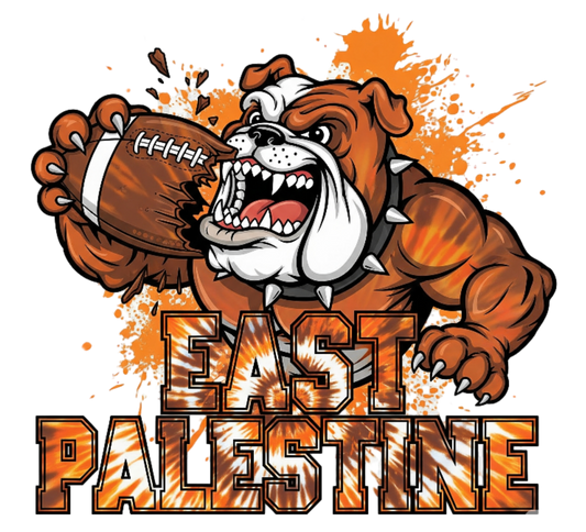 EAST PALESTINE BULLDOGS FOOTBALL DM130 District® Perfect Tri® Tee 18
