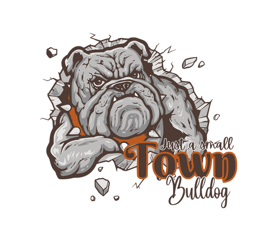 EAST PALESTINE BULLDOGS FOOTBALL DM130 District® Perfect Tri® Tee 10