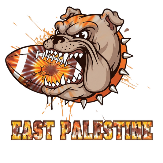 EAST PALESTINE BULLDOGS FOOTBALL DM130 District® Perfect Tri® Tee 16
