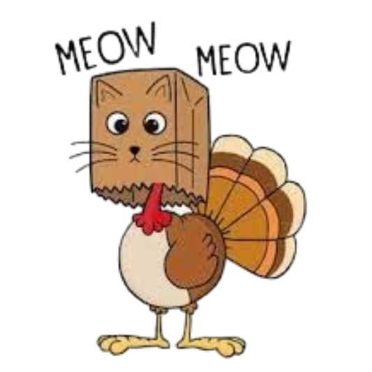 THANKSGIVING Gildan Softstyle® T-Shirt Unisex Short Sleeve Tee 45